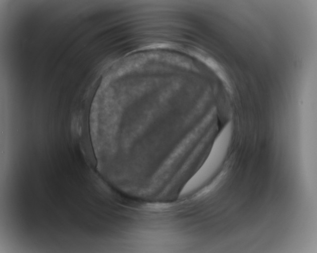 X0000088671377200706281913