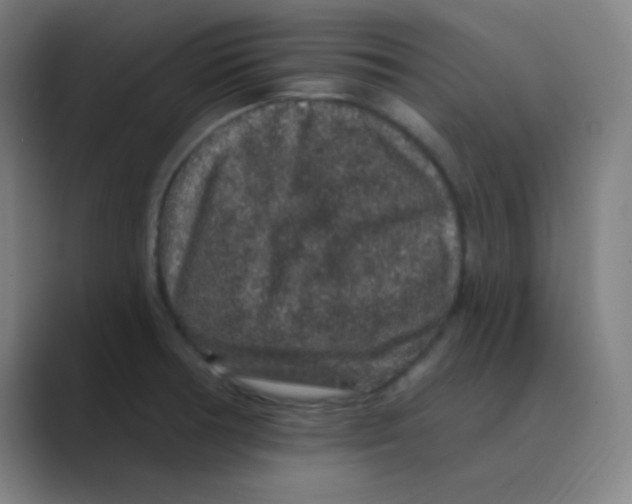 X0000088671378200706281913