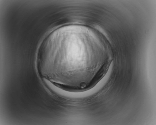 X0000088671379200706281913