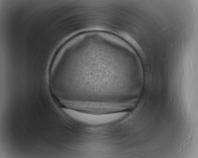 X0000088671380200706281913