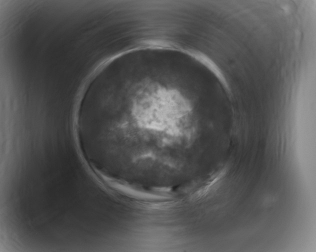X0000088671381200706281913