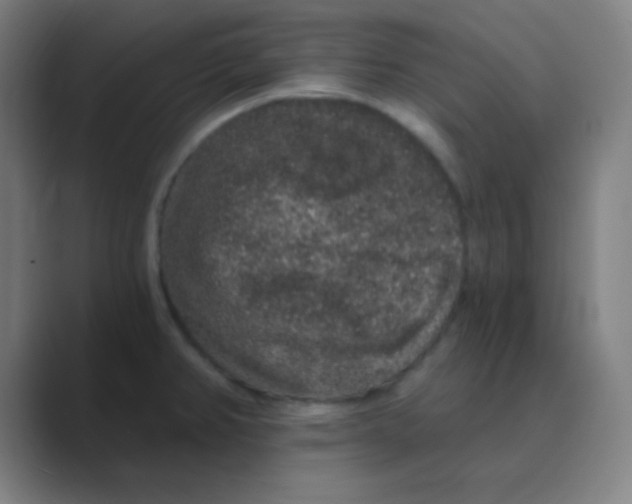 X0000088671382200706281913