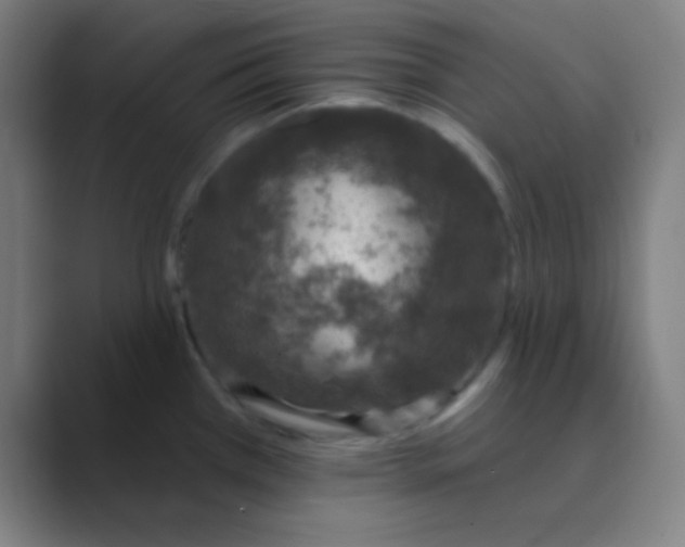 X0000088671385200706281913