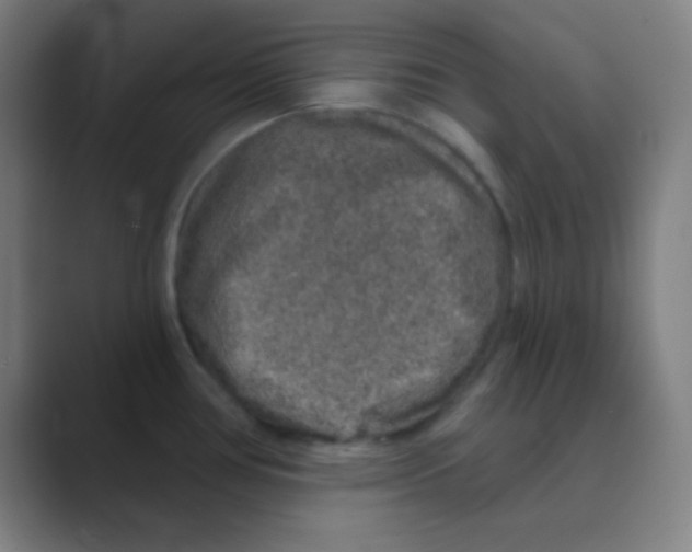X0000088671386200706281913