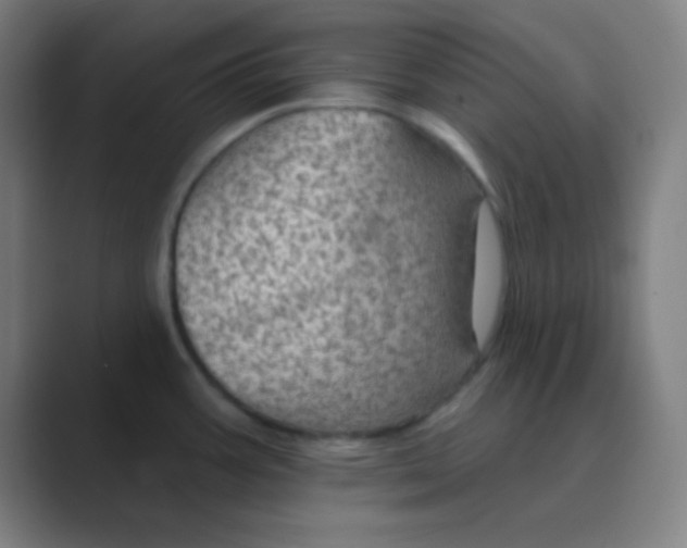 X0000088671387200706281913