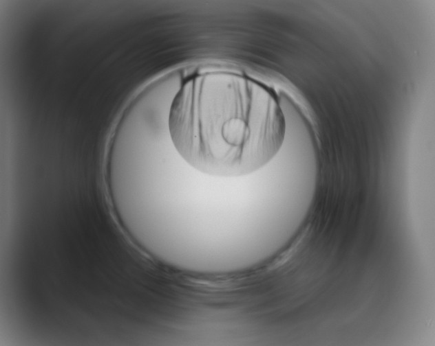 X0000088671388200706281913