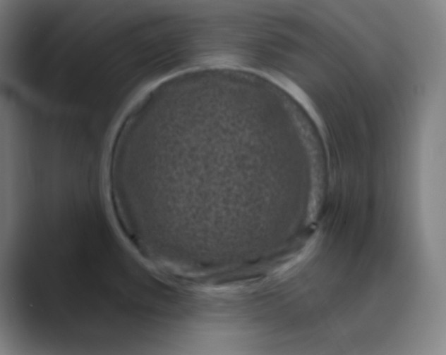 X0000088671389200706281913