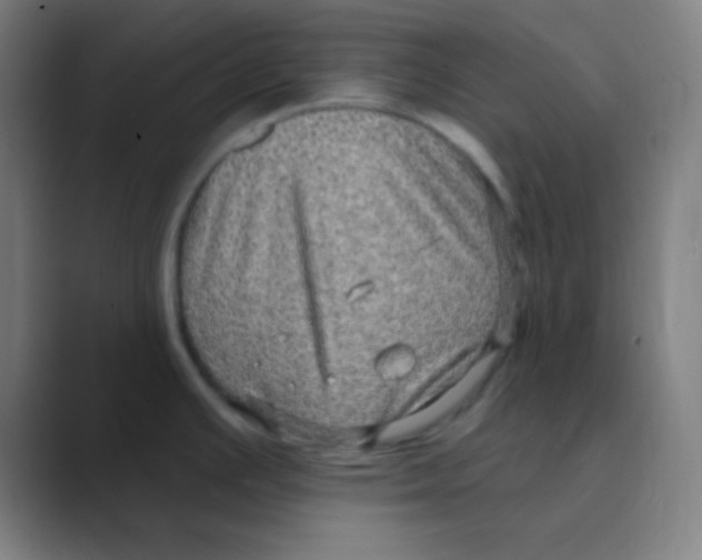 X0000088671391200706281913