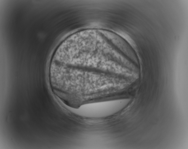 X0000088671392200706281913