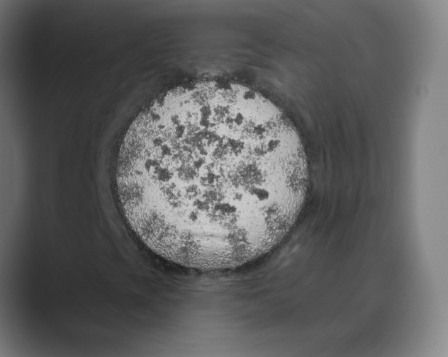 X0000088671393200706281912