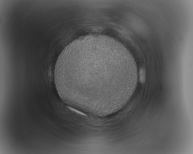 X0000088671395200706281912