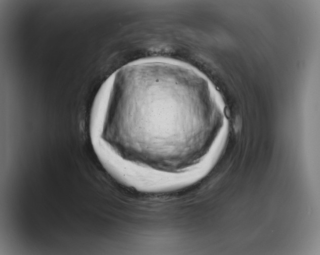X0000088671396200706281912