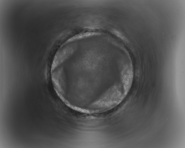 X0000088671398200706281912