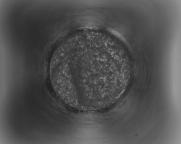 X0000088671399200706281912