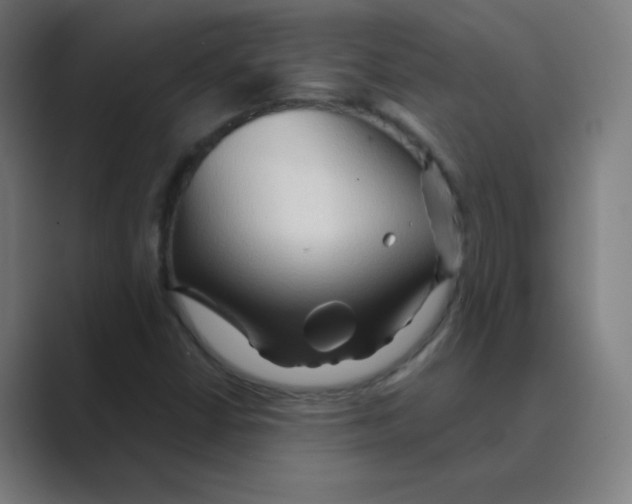 X0000088671402200706281912