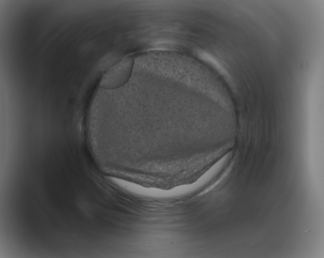X0000088671403200706281912