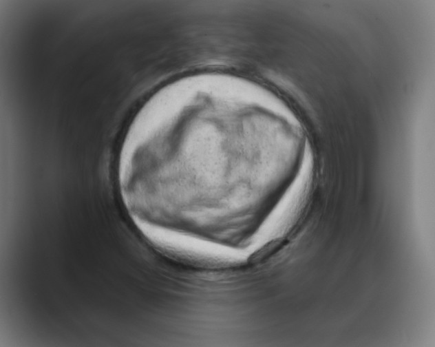 X0000088671404200706281912