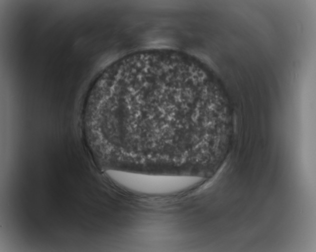 X0000088671405200706281912