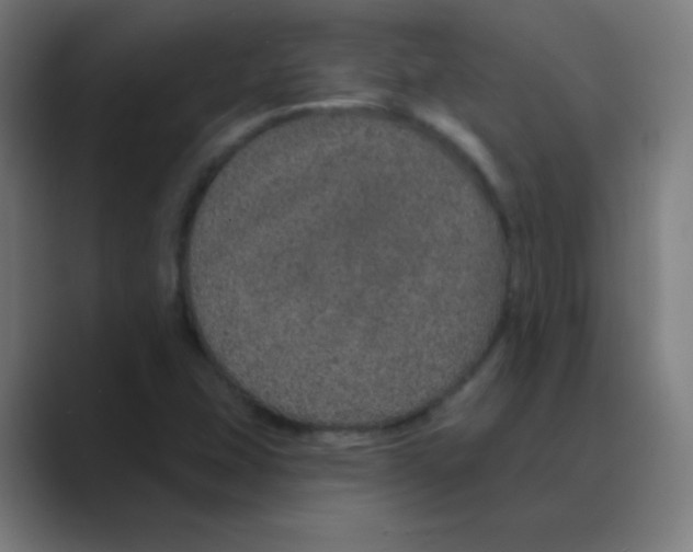 X0000088671407200706281912