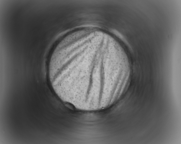 X0000088671408200706281912