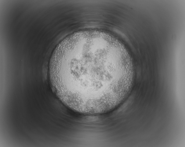 X0000088671409200706281912