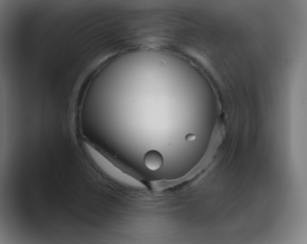 X0000088671410200706281912