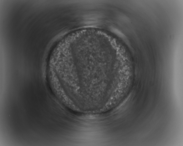 X0000088671411200706281912