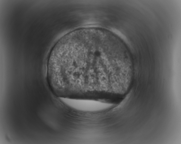 X0000088671413200706281912
