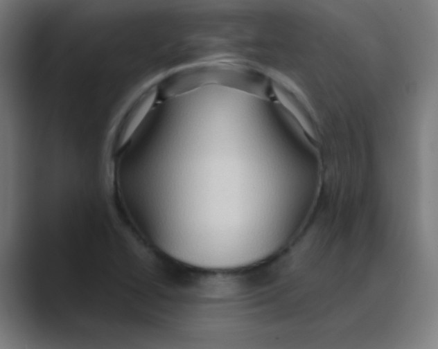 X0000088671414200706281912