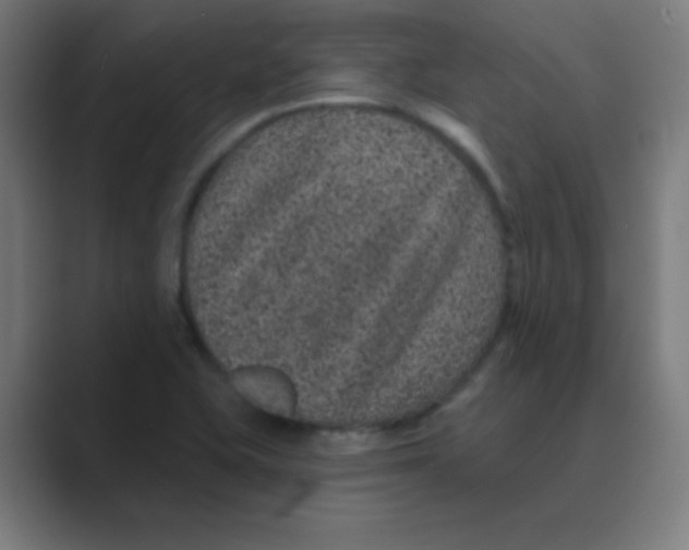 X0000088671415200706281912