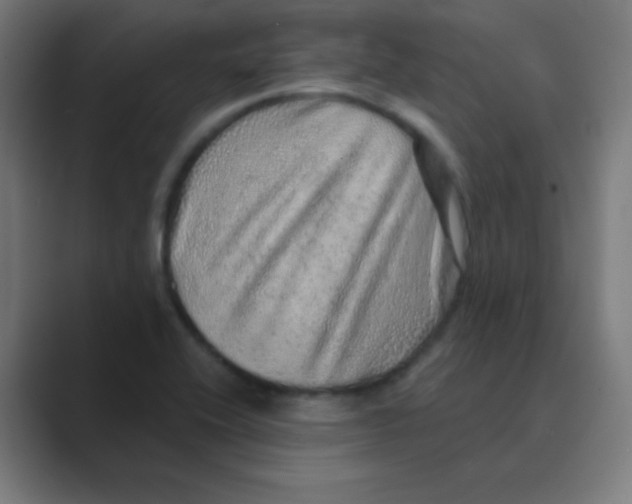 X0000088671416200706281912
