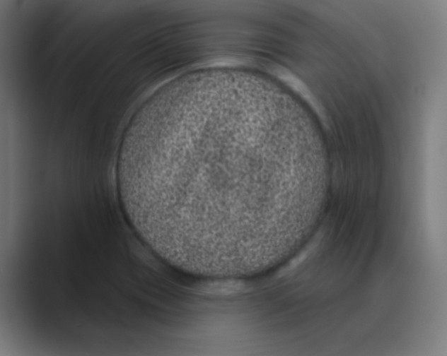 X0000088671417200706281912