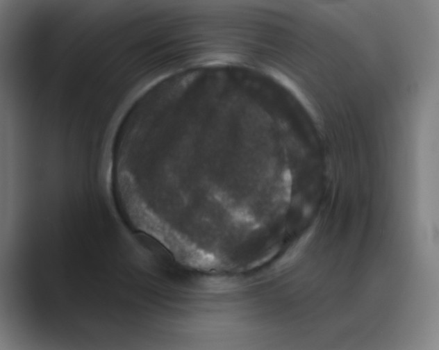 X0000088671418200706281912