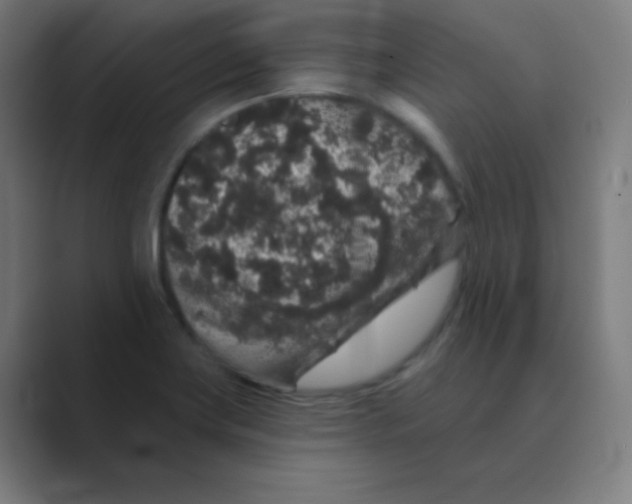 X0000088671419200706281912