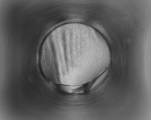 X0000088671420200706281912