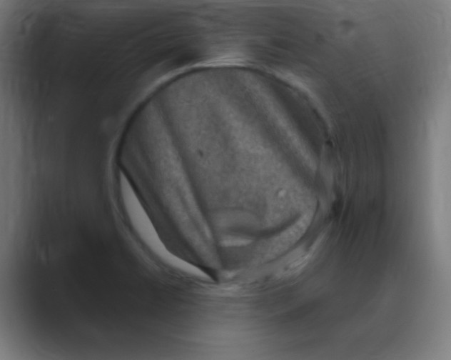 X0000088671422200706281912