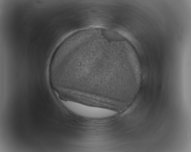 X0000088671423200706281912