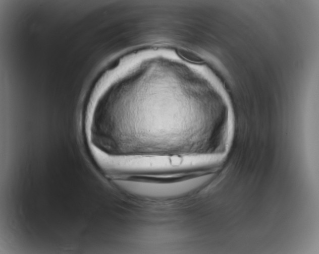 X0000088671424200706281912