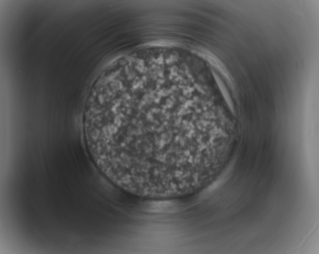 X0000088671425200706281912