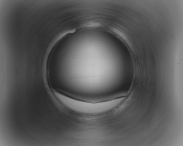 X0000088671426200706281912