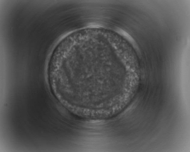 X0000088671427200706281912