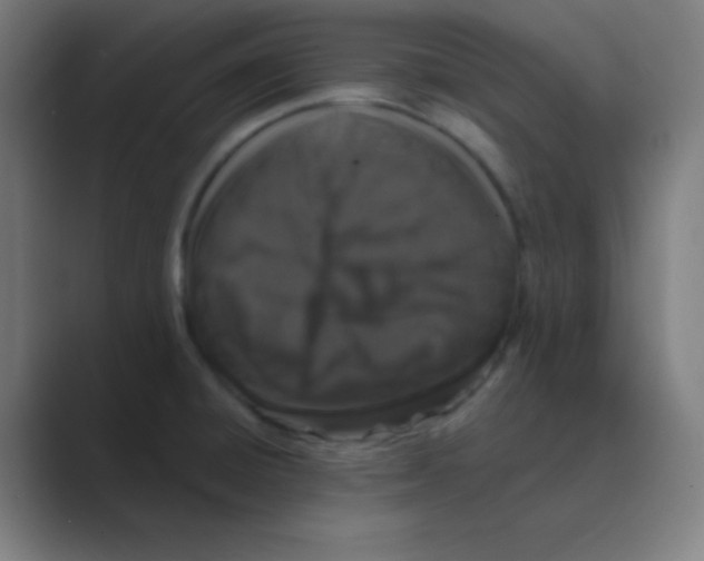 X0000088671428200706281912
