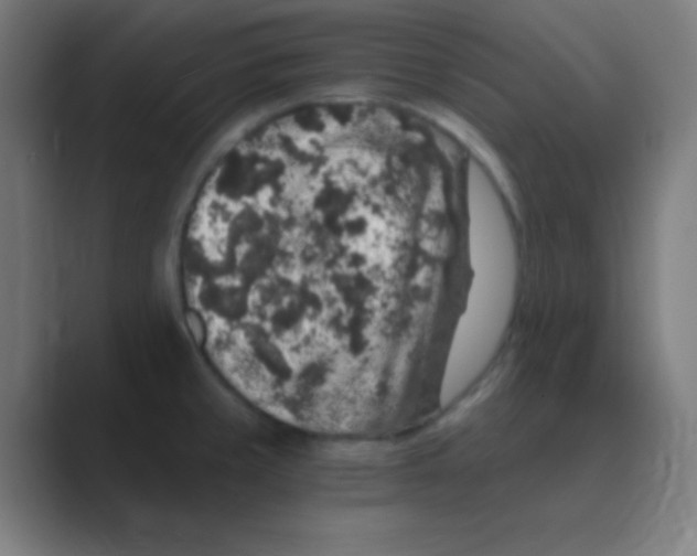 X0000088671429200706281913
