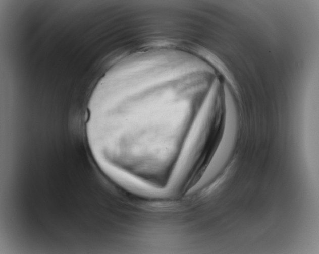 X0000088671433200706281913
