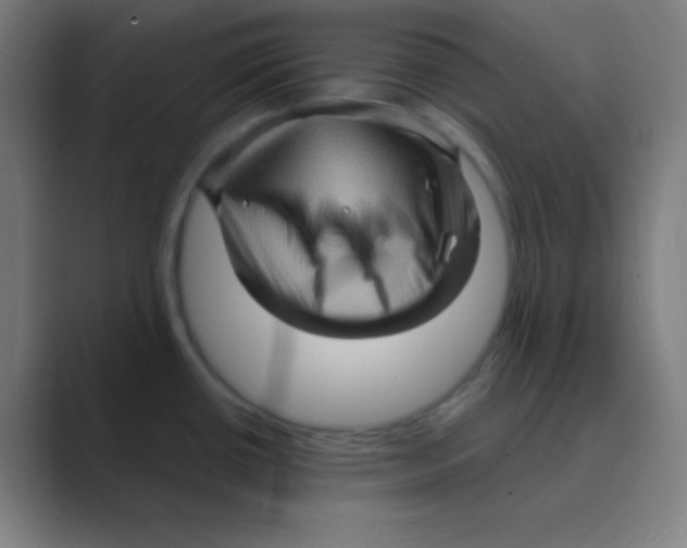 X0000088671434200706281913