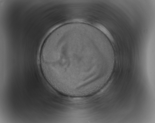 X0000088671436200706281913