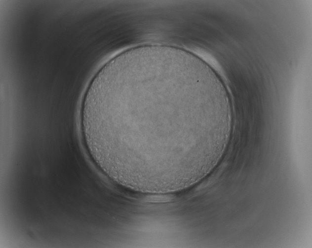 X0000088671440200706281913