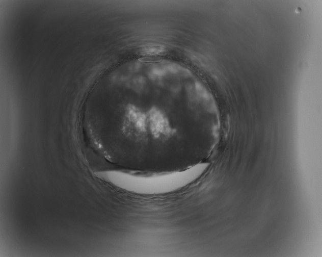 X0000088671441200706281912