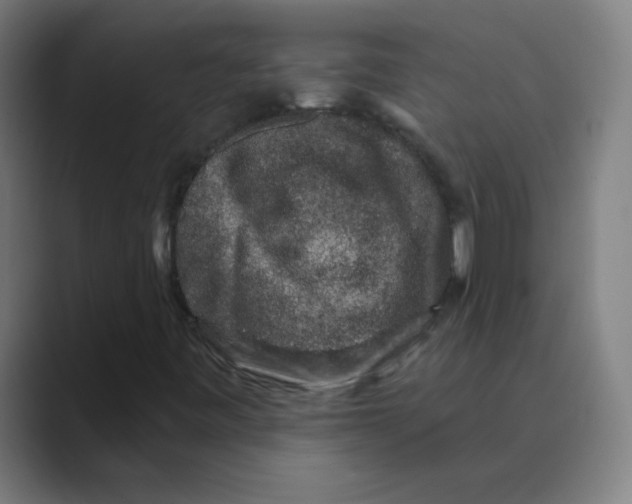 X0000088671443200706281912