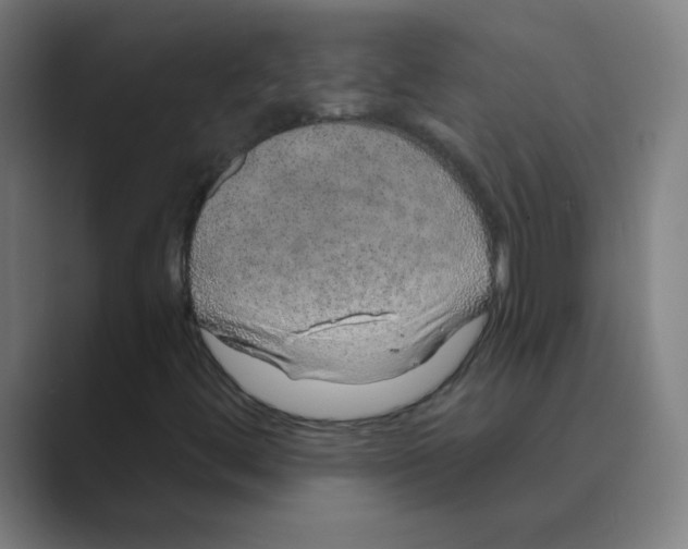 X0000088671444200706281912
